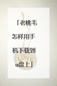 老桃毛怎样用手机下载到u盘上