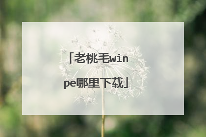 老桃毛win pe哪里下载
