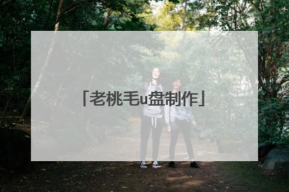 老桃毛u盘制作