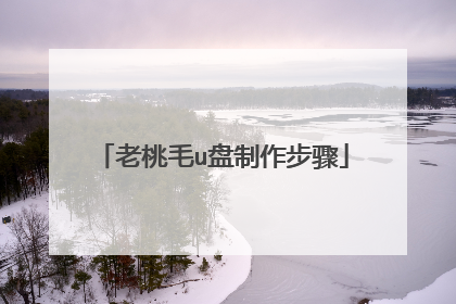 老桃毛u盘制作步骤