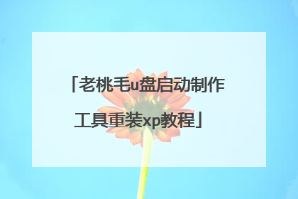 老桃毛u盘启动制作工具重装xp教程