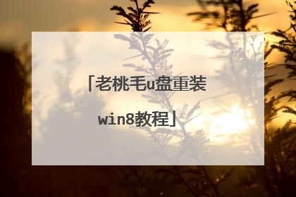 老桃毛u盘重装win8教程