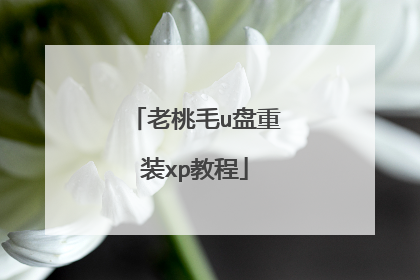 老桃毛u盘重装xp教程
