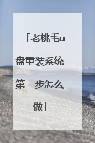 老桃毛u盘重装系统第一步怎么做