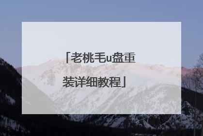 老桃毛u盘重装详细教程