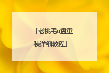 老桃毛u盘重装详细教程
