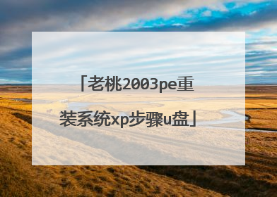 老桃2003pe重装系统xp步骤u盘