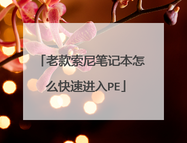 老款索尼笔记本怎么快速进入PE