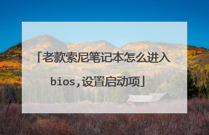 老款索尼笔记本怎么进入bios,设置启动项
