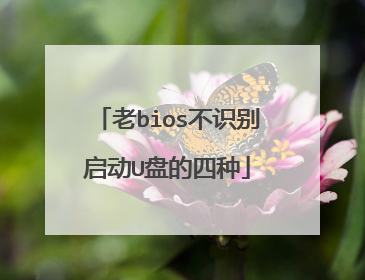 老bios不识别启动U盘的四种