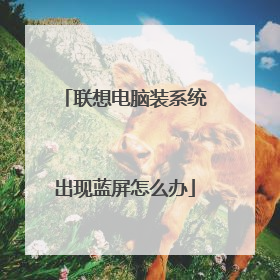 联想电脑装系统出现蓝屏怎么办