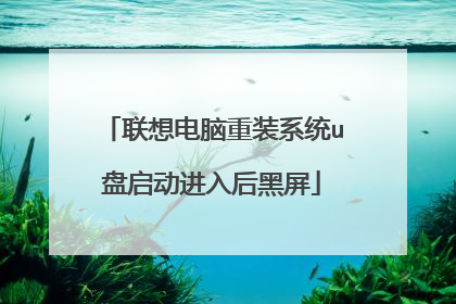 联想电脑重装系统u盘启动进入后黑屏