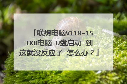 联想电脑V110-15IKB电脑 U盘启动 到这就没反应了 怎么办?