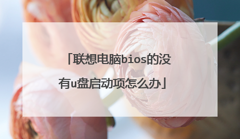 联想电脑bios的没有u盘启动项怎么办