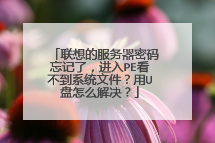 联想的服务器密码忘记了,进入PE看不到系统文件?用U盘怎么解决?
