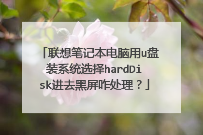 联想笔记本电脑用u盘装系统选择hardDisk进去黑屏咋处理?