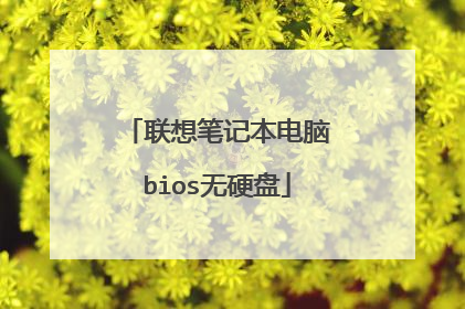联想笔记本电脑bios无硬盘