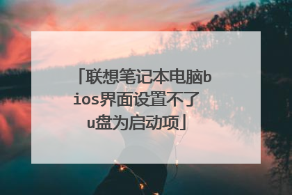 联想笔记本电脑bios界面设置不了u盘为启动项