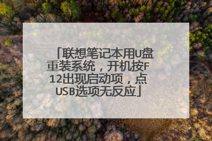 联想笔记本用U盘重装系统，开机按F12出现启动项，点USB选项无反应