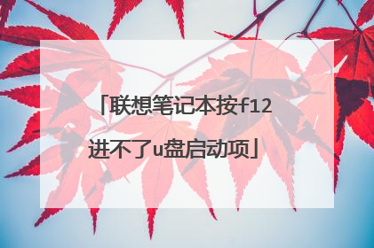 联想笔记本按f12进不了u盘启动项