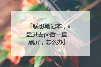 联想笔记本，u盘进去pe后一直黑屏，怎么办