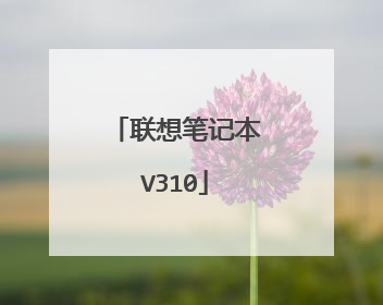 联想笔记本V310