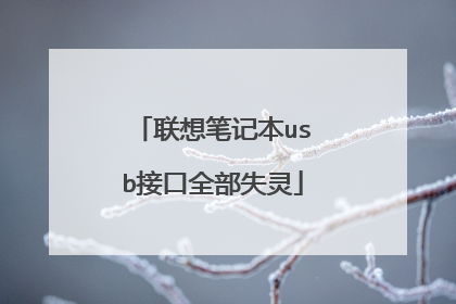 联想笔记本usb接口全部失灵