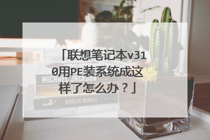联想笔记本v310用PE装系统成这样了怎么办？