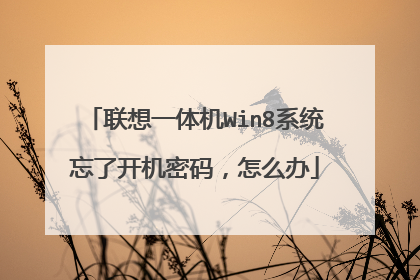 联想一体机Win8系统忘了开机密码,怎么办