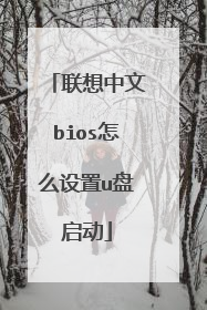 联想中文bios怎么设置u盘启动