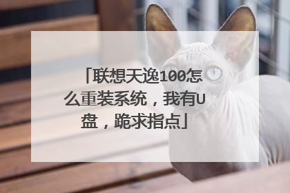 联想天逸100怎么重装系统，我有U盘，跪求指点
