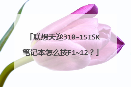 联想天逸310-15ISK笔记本怎么按F1~12?