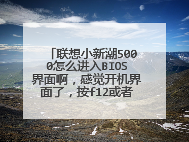 联想小新潮5000怎么进入BIOS界面啊,感觉开机界面了,按f12或者delete,f2也没有有?