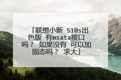 联想小新 510s出色版 有msata接口吗? 如果没有 可以加固态吗? 求大