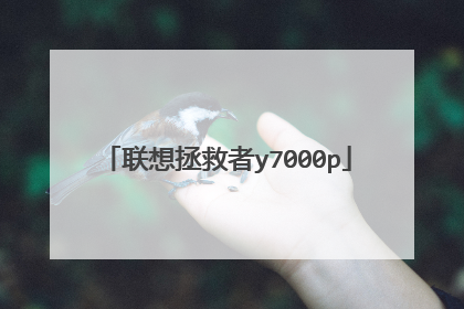 联想拯救者y7000p