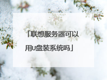 联想服务器可以用U盘装系统吗