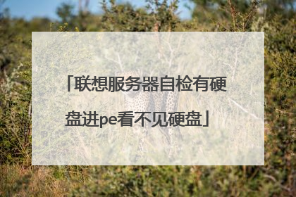联想服务器自检有硬盘进pe看不见硬盘