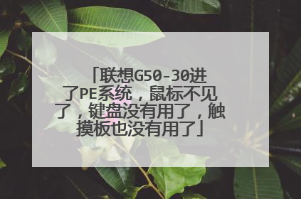 联想G50-30进了PE系统,鼠标不见了,键盘没有用了,触摸板也没有用了