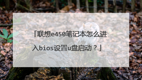 联想e450笔记本怎么进入bios设置u盘启动?