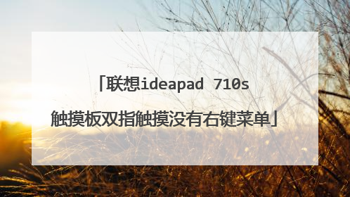 联想ideapad 710s触摸板双指触摸没有右键菜单