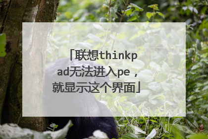 联想thinkpad无法进入pe,就显示这个界面