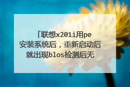 联想x201i用pe安装系统后,重新启动后就出现blos检测后无显示,屏幕黑屏只有一个【 _ 】在闪烁?