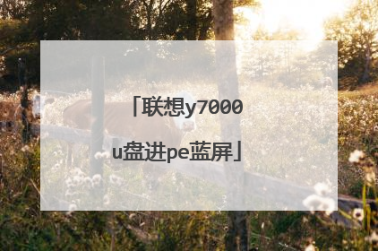 联想y7000u盘进pe蓝屏
