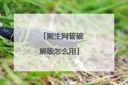 聚生网管破解版怎么用