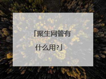 聚生网管有什么用?
