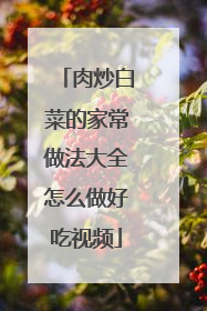 肉炒白菜的家常做法大全怎么做好吃视频