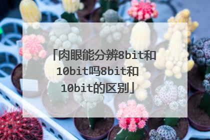 肉眼能分辨8bit和10bit吗8bit和10bit的区别