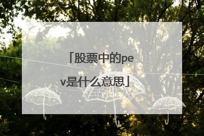 股票中的pev是什么意思