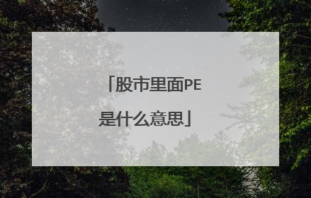 股市里面PE是什么意思