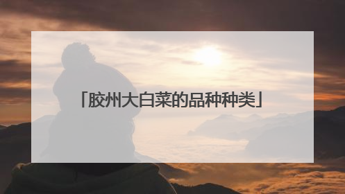 胶州大白菜的品种种类